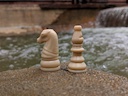 image of chess knight and bishop