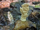 image of chess knight and bishop